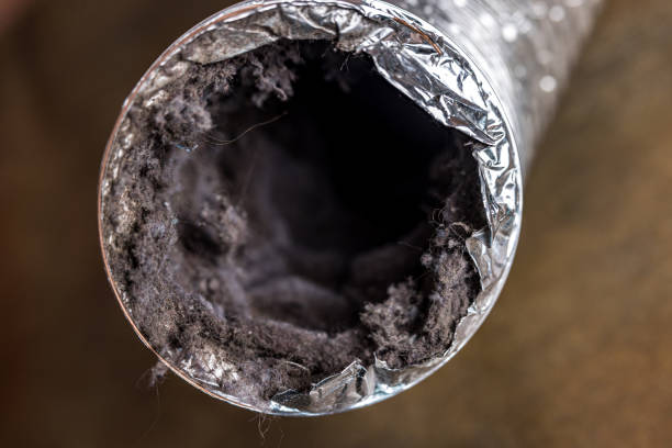 Best Home Air Vent Cleaning  in Robbins, NC
